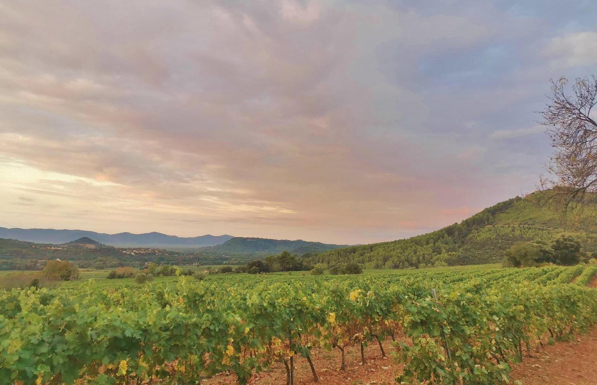 Le Nid En Chante Vue Panoramique Les Arcs-sur-Argens Eksteriør billede